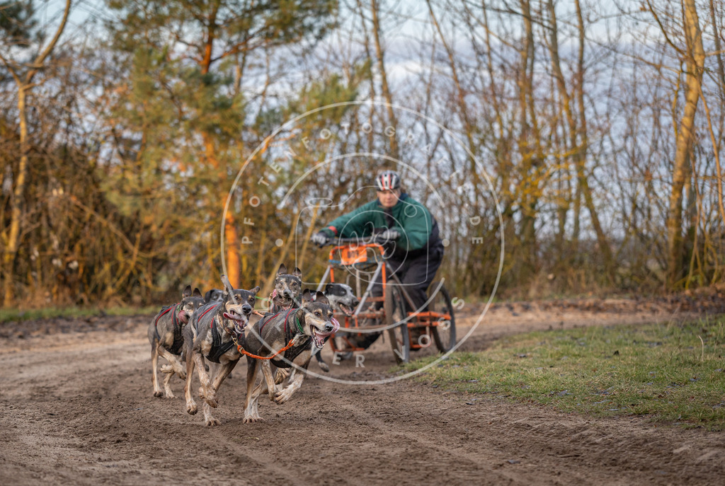 Pfotenfotografie_DV3A5939 | Hundefotografie, Tierfotograf, Pfotenfotografie, Fotoshooting Hund, Hunde Portrait, Hundesport, Hundeportraits, Heideshooting, Hunde, Sportfotograf, Hundefotograf, Turnierhundsport, THS,  - Realisiert mit Pictrs.com