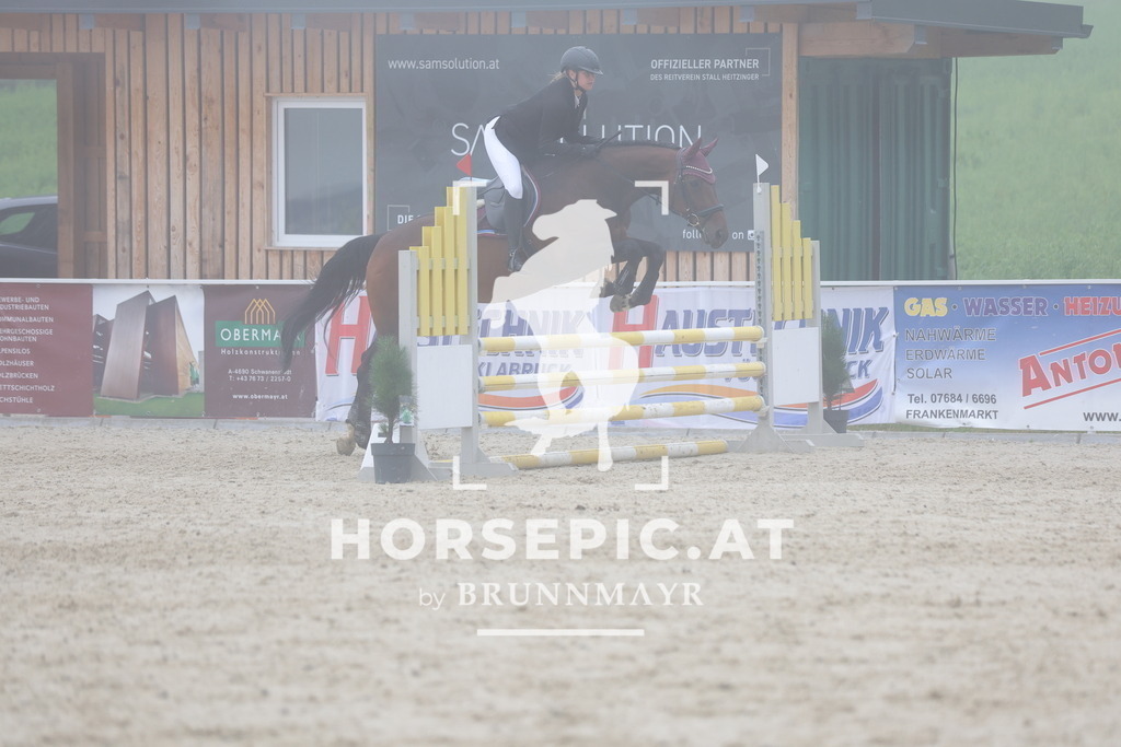 0P6A7605 | Willkommen bei Brunnmayr - Design & Fotografie – Ihrem Spezialisten für Reitturniere und Pferdeveranstaltungen in Oberösterreich, Salzburg und Bayern! Seit über 17 Jahren sind wir leidenschaftlich dabei.
