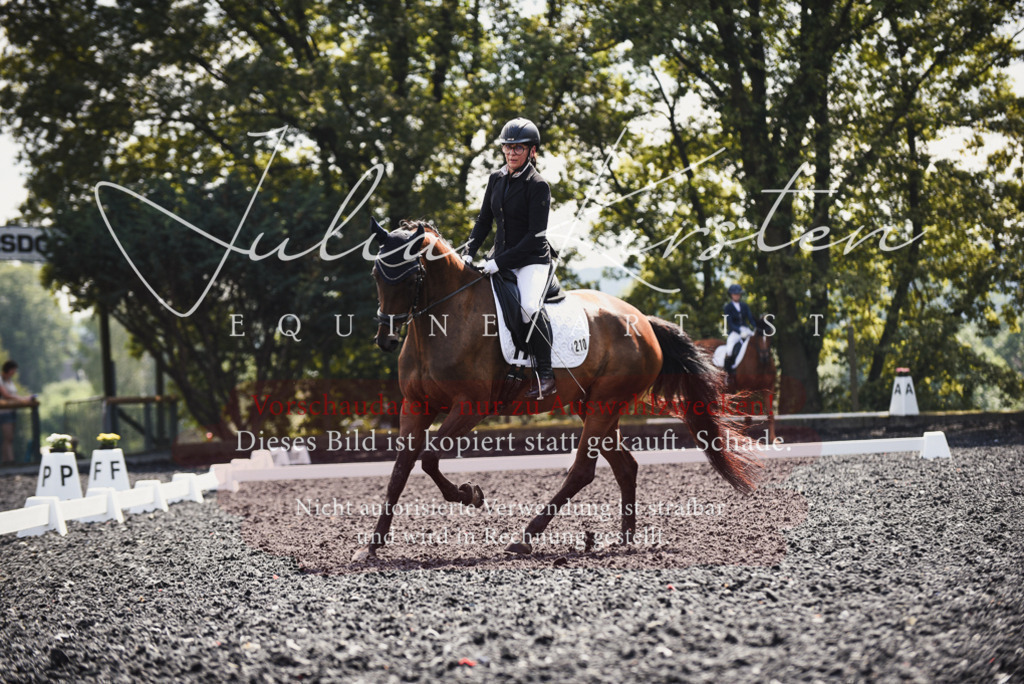 DSC_4101 | Pferde- und Turnierfotografie in Westsachsen. Pferdeportraits, Auftragszeichnungen und intuitive Kunst.