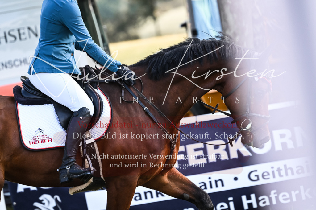 DSC_7571 | Pferde- und Turnierfotografie in Westsachsen. Pferdeportraits, Auftragszeichnungen und intuitive Kunst.