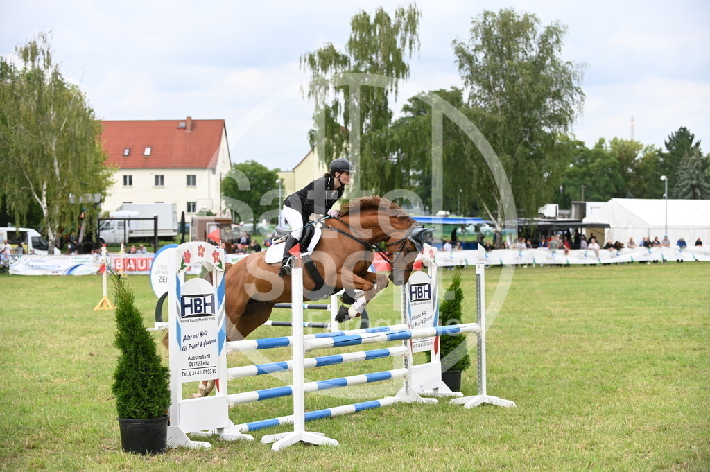 DSC_1549 | sattelsport - Realisiert mit Pictrs.com