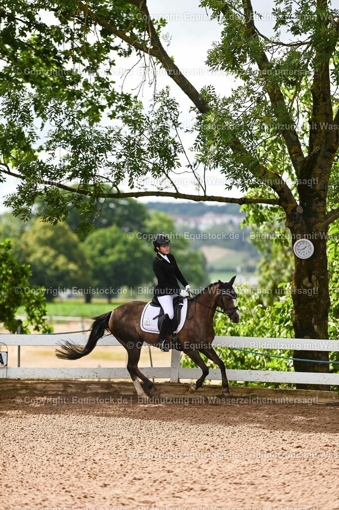 20230716_10-1_Reiter-WB Schritt - Trab - Galopp_0198 | equistock