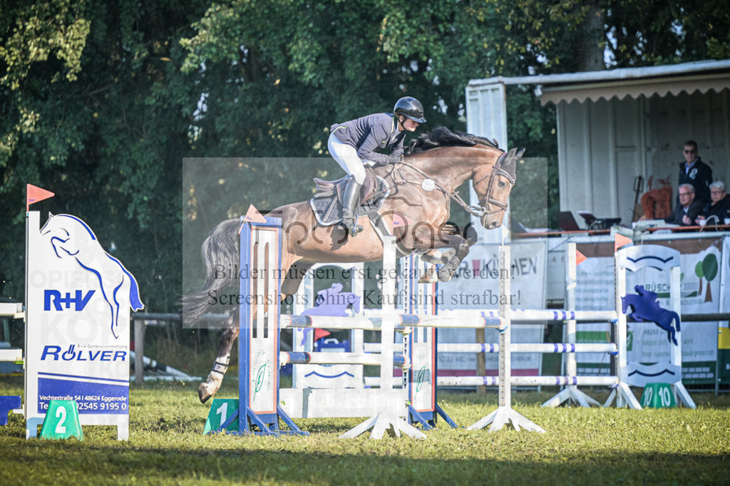 DOS_0091 | Entdecke hochwertige Reitturnierfotos von Foto Oger. Professionell, emotional und authentisch – jetzt Lieblingsmomente im Shop bestellen.Deutschlandweite Turnierfotografie. - Realisiert mit Pictrs.com