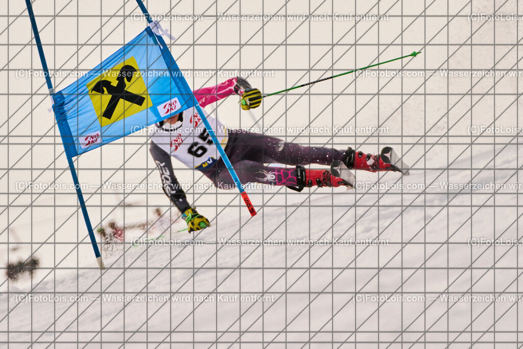 ALP8716_Herrn-FIS-GS-I_Lackenhof-WY_Stang Jakob | Hochzeitsfotograf mit dem Blick für´s Wesentliche, Firmung, Erstkommunion, Firmenfeiern, Sportfotoservice, Reproduktionen, Konzertfotografie, Pressefotografie, Luftbildfotografie, Innenarchitektur, Werbefotografie, Sponsoren-Livebildfotografie.