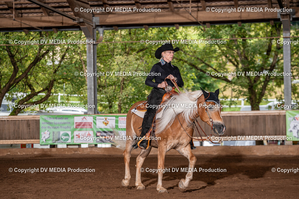 Erbach Tag 2-100 | dv-media-shop - Realisiert mit Pictrs.com