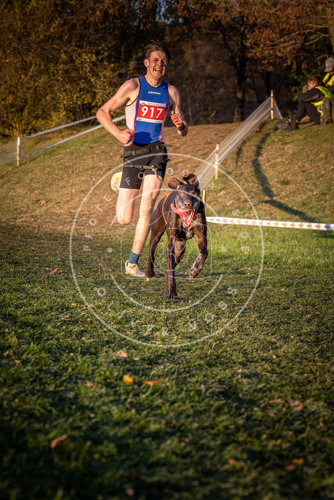 CaniXpix_0L8A1519 | Hundefotografie, Tierfotograf, Pfotenfotografie, Fotoshooting Hund, Hunde Portrait, Hundesport, Hundeportraits, Heideshooting, Hunde, Sportfotograf, Hundefotograf, Turnierhundsport, THS,  - Realisiert mit Pictrs.com