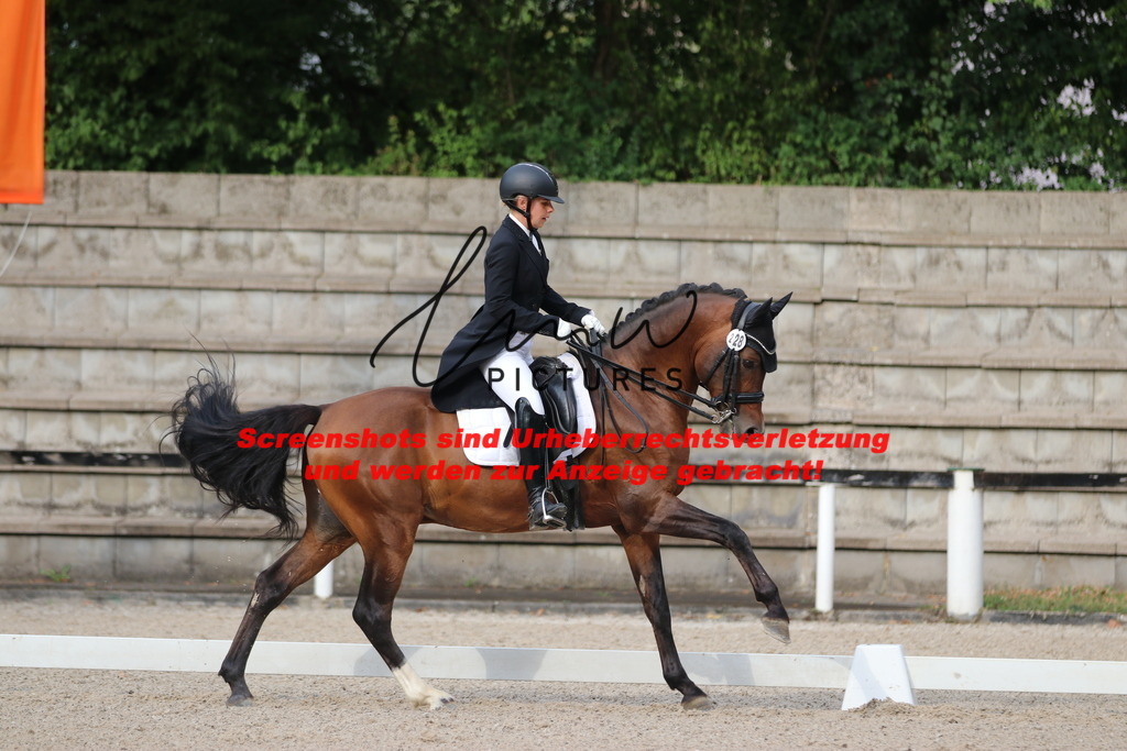 IMG_6121 | lmwpictures - Realisiert mit Pictrs.com