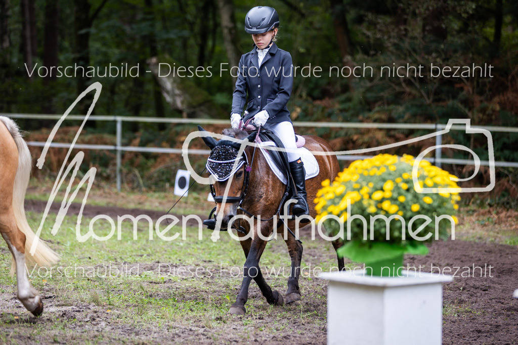 HB-Reiter-WB-081 | MomenTaufnahmen Pferdesportfotos