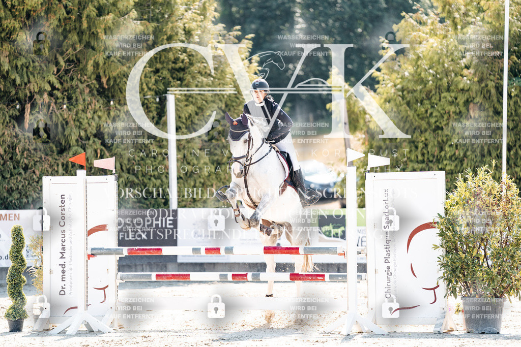 CK908919 | Turnierfotografie Pferdefotografie Trier Rheinland-Pfalz Pferdesport Reitsport Tierfotografie Sportfotografie Pferdevideo Pferdevideografie Equestrianvideography equestrianphotography  - Realisiert mit Pictrs.com