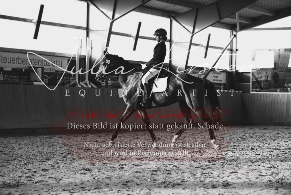 DSC_7630 | Pferde- und Turnierfotografie in Westsachsen. Pferdeportraits, Auftragszeichnungen und intuitive Kunst.