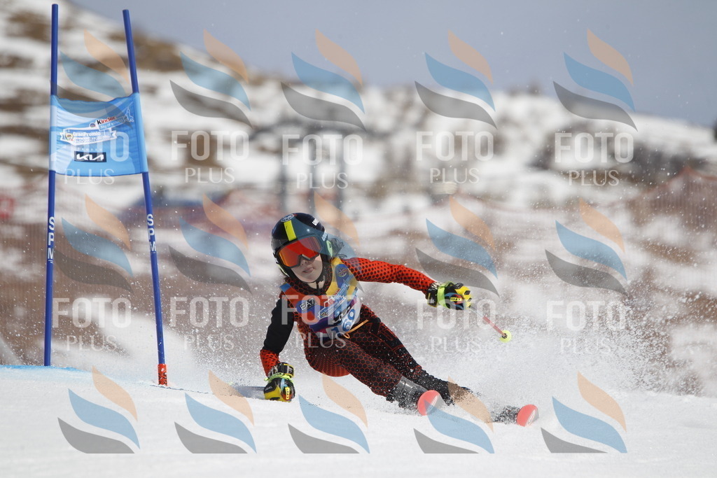 _U3G1526 | holidayphoto