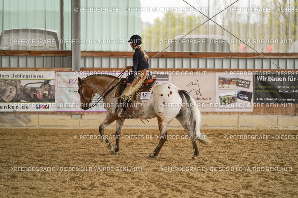 DSC08657 | Pferdegrafie