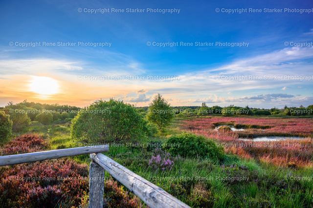 NZ6_5185 | Hochzeiten, Familien, Paare, Portraits, Kinder, Shooting, Bad-Neuenahr, Ahrweiler, Bonn, Meckenheim, Fotograf, Grafschaft - Realisiert mit Pictrs.com