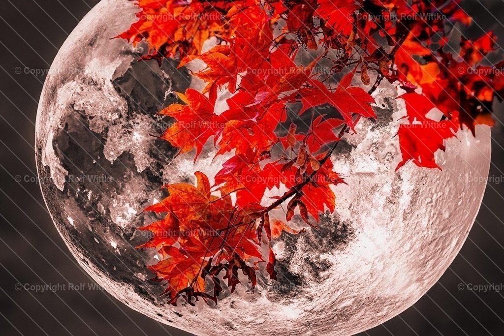 mondschein | Rolf Wittke  - Realisiert mit Pictrs.com