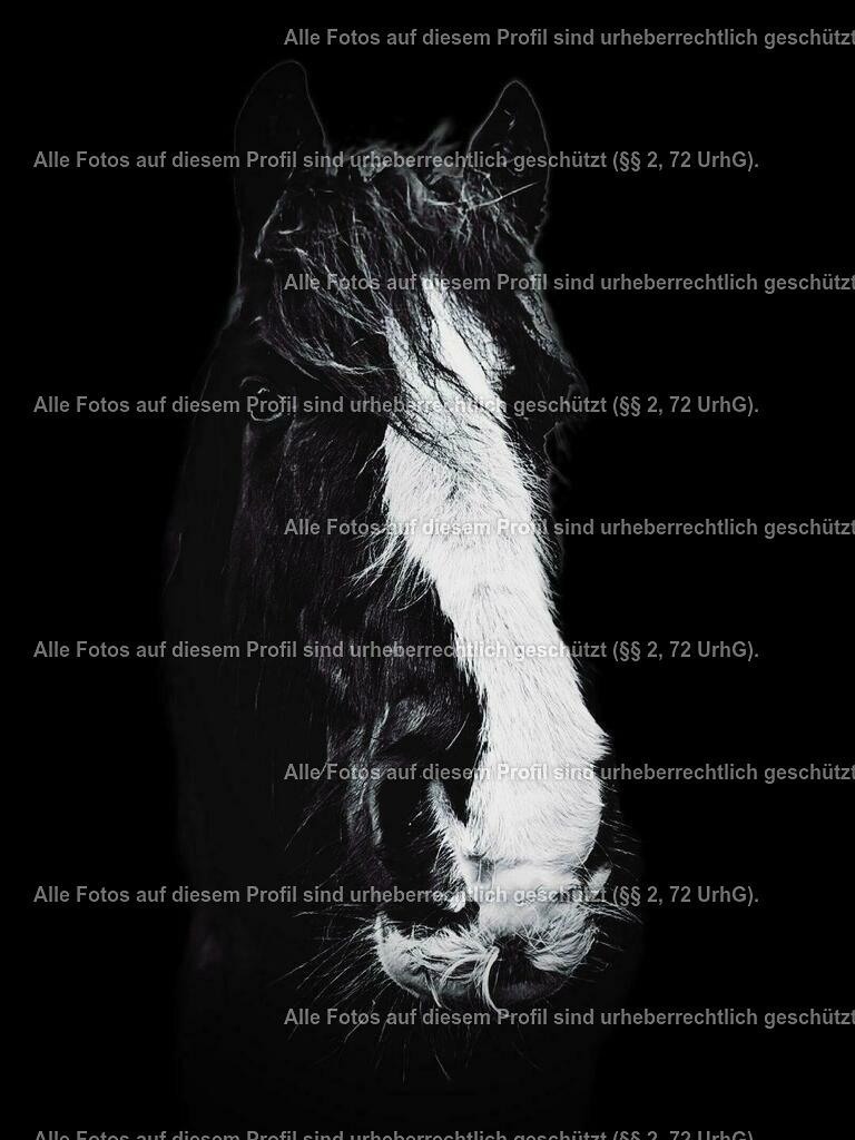 387ffa15-fb8c-450b-883e-749a090a8f5f | krollfotografie - Realisiert mit Pictrs.com