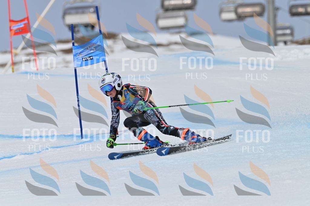 BGV_5080 | holidayphoto