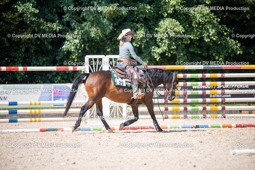 ZS1_1656 | dv-media-shop - Realisiert mit Pictrs.com