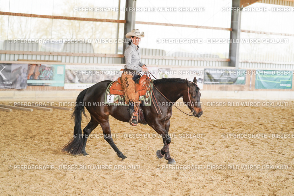 DSC02183 | Pferdegrafie