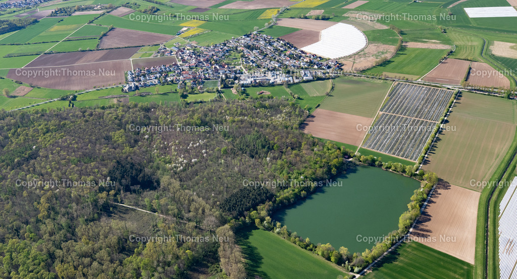 DSC_4981 | Bensheim, Zwingenberg, Niederwaldsee, Rodau, , Bild: Thomas Neu