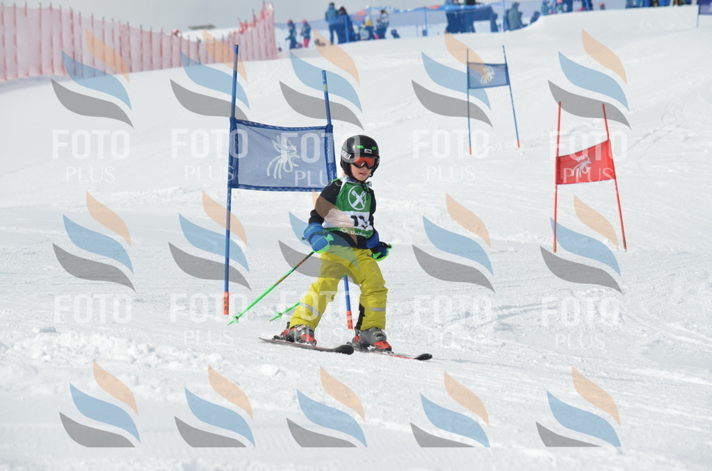 D8549 | holidayphoto