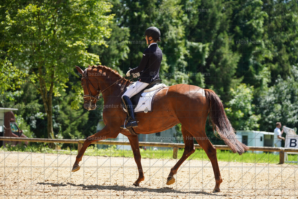 20240705-FAH04244 | Turnierbilder von Grafing, Reitsportbilder, Turnierfotos, Turnierfotografen Bayern, Pferdefotograf, Fotoagentur Herrmann
