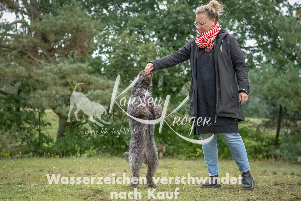 1509_ZZ94578-2-Bearbeitet | kk-dogfotos