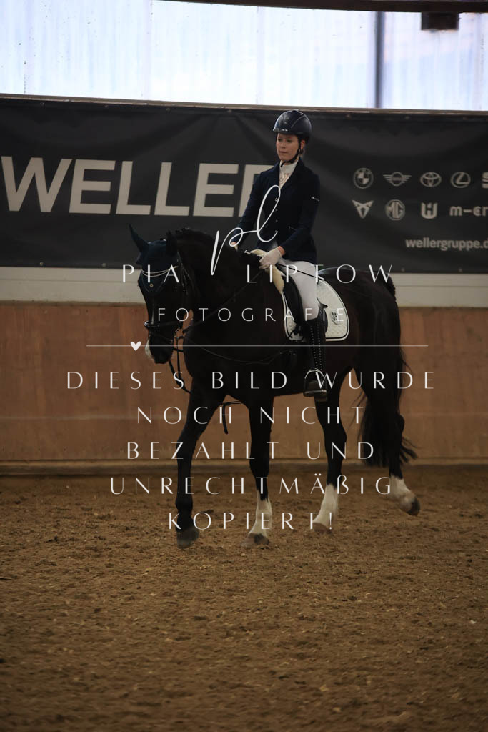 IMGT0793 | pl-fotografie