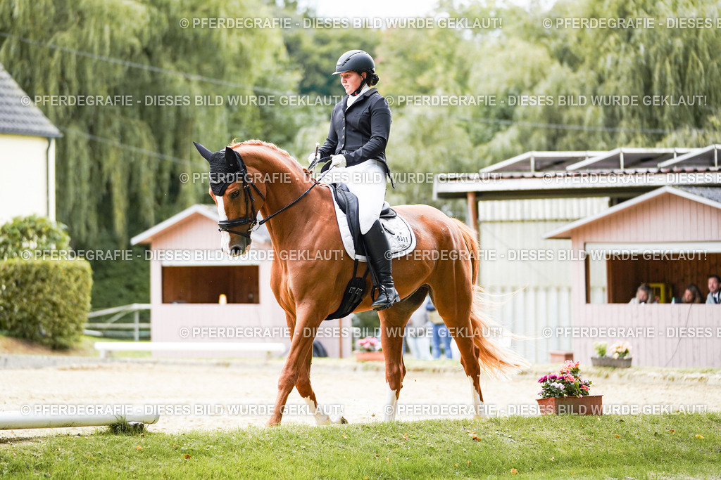 DSC00970 | Pferdegrafie