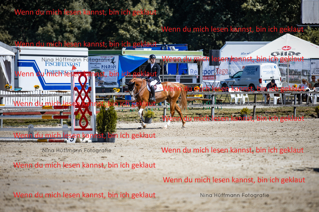 BK1A5485 | Turnierbilder Turnierfotos Nina Hüffmann Turnierfotografie Pferdefotografie Tierzeichnung Haustierzeichnung Pferdezeichnung Hundezeichnung Videograf  - Realisiert mit Pictrs.com