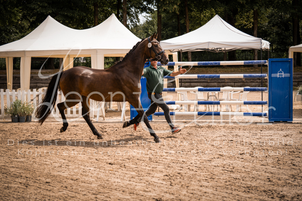 2. Fr00037 | Leoni Ertmer Photography - Realisiert mit Pictrs.com