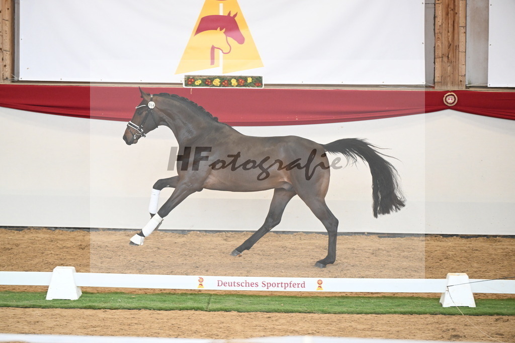 Kat.-Nr. 64 v. Fürst Zonik PS_Raedecke_2250554 | hf-fotografie - Realisiert mit Pictrs.com