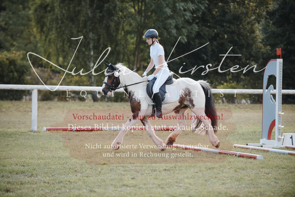 DSC_5360 | Pferde- und Turnierfotografie in Westsachsen. Pferdeportraits, Auftragszeichnungen und intuitive Kunst.