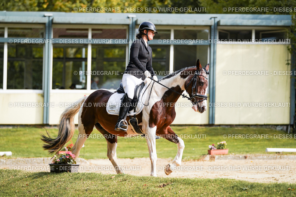 DSC04285 | Pferdegrafie