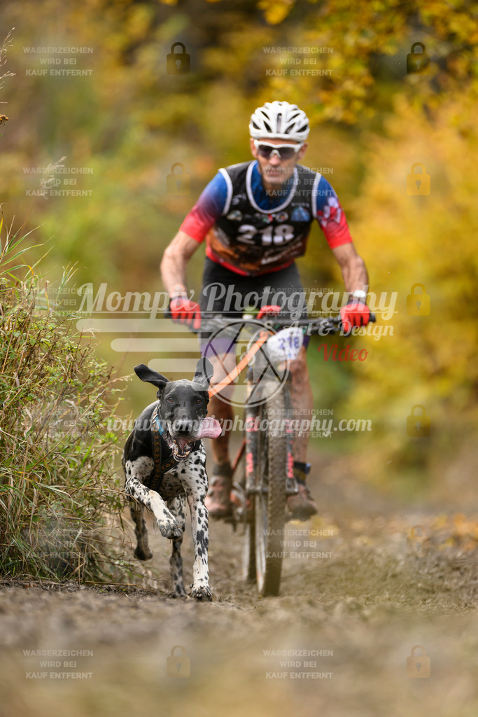 MompixPhotography_ICF_WC_2024_SA_Bike_-358 | PayLife