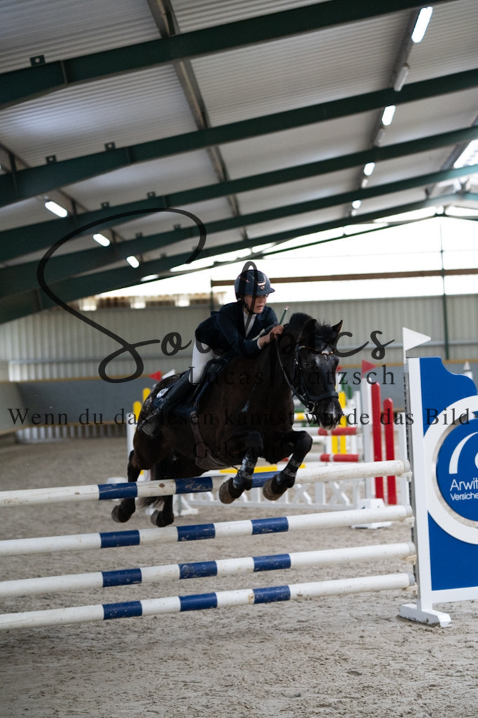 A7V08689 | Pferdefotograf