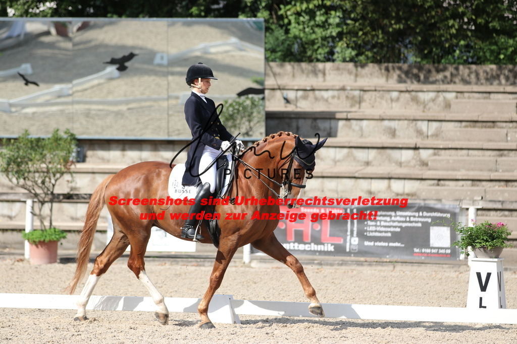 IMG_6455 | lmwpictures - Realisiert mit Pictrs.com