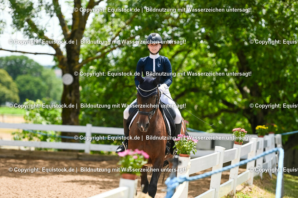 20230716_03_Dressurprfg. Kl.L - Tr._0274 | equistock