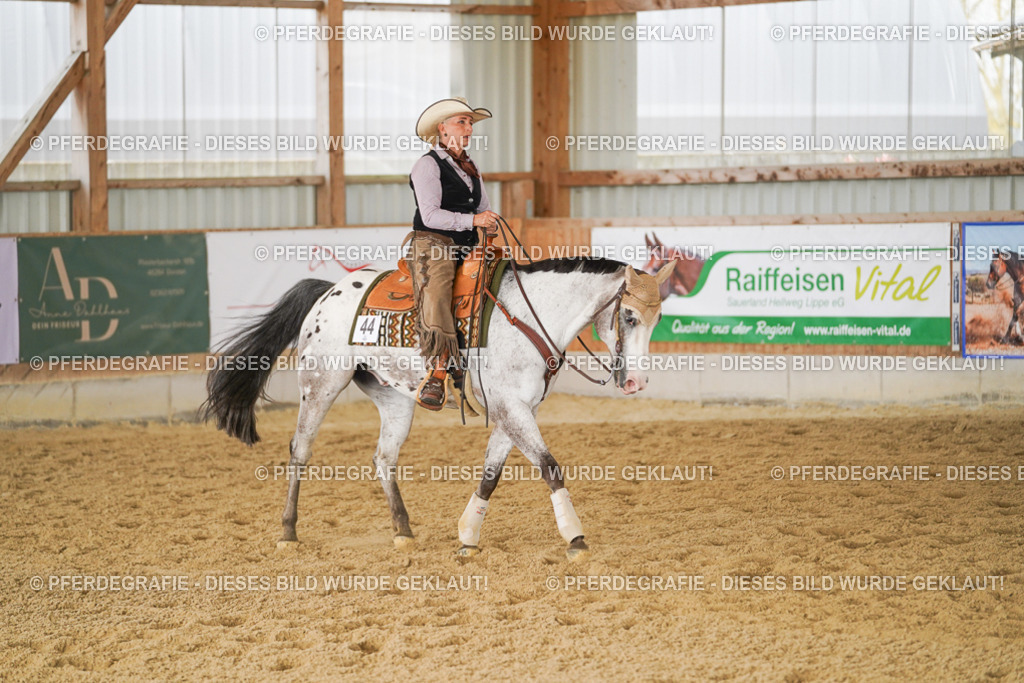 DSC01940 | Pferdegrafie