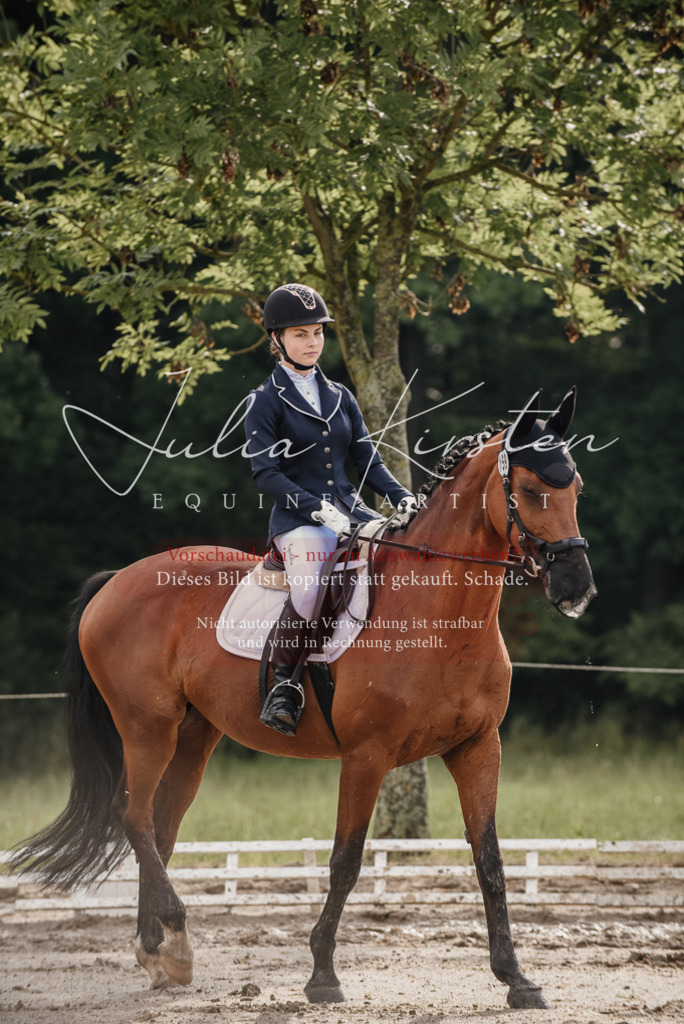 DSC_8439 | Pferde- und Turnierfotografie in Westsachsen. Pferdeportraits, Auftragszeichnungen und intuitive Kunst.