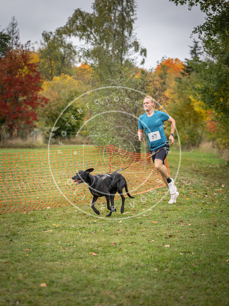 Pfotenfotografie_DV3A2589 | Hundefotografie, Tierfotograf, Pfotenfotografie, Fotoshooting Hund, Hunde Portrait, Hundesport, Hundeportraits, Heideshooting, Hunde, Sportfotograf, Hundefotograf, Turnierhundsport, THS,  - Realisiert mit Pictrs.com