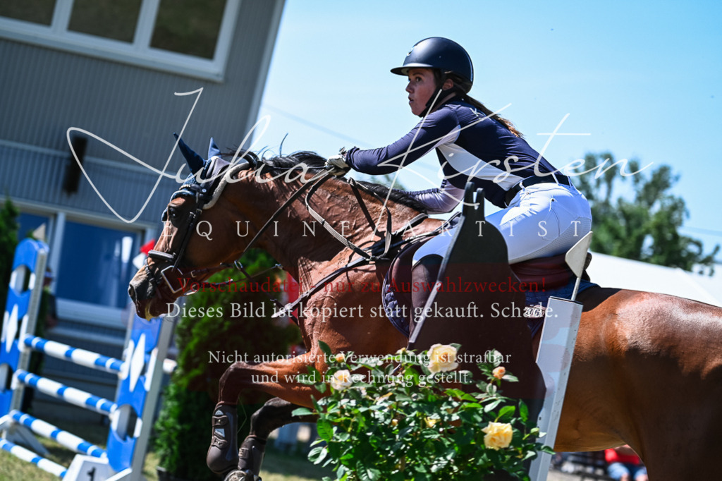 DSC_1369 | Pferde- und Turnierfotografie in Westsachsen. Pferdeportraits, Auftragszeichnungen und intuitive Kunst.