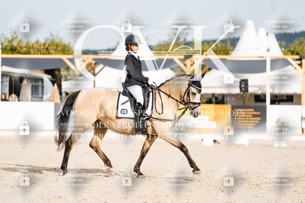 CK904190 | Turnierfotografie Pferdefotografie Trier Rheinland-Pfalz Pferdesport Reitsport Tierfotografie Sportfotografie Pferdevideo Pferdevideografie Equestrianvideography equestrianphotography  - Realisiert mit Pictrs.com