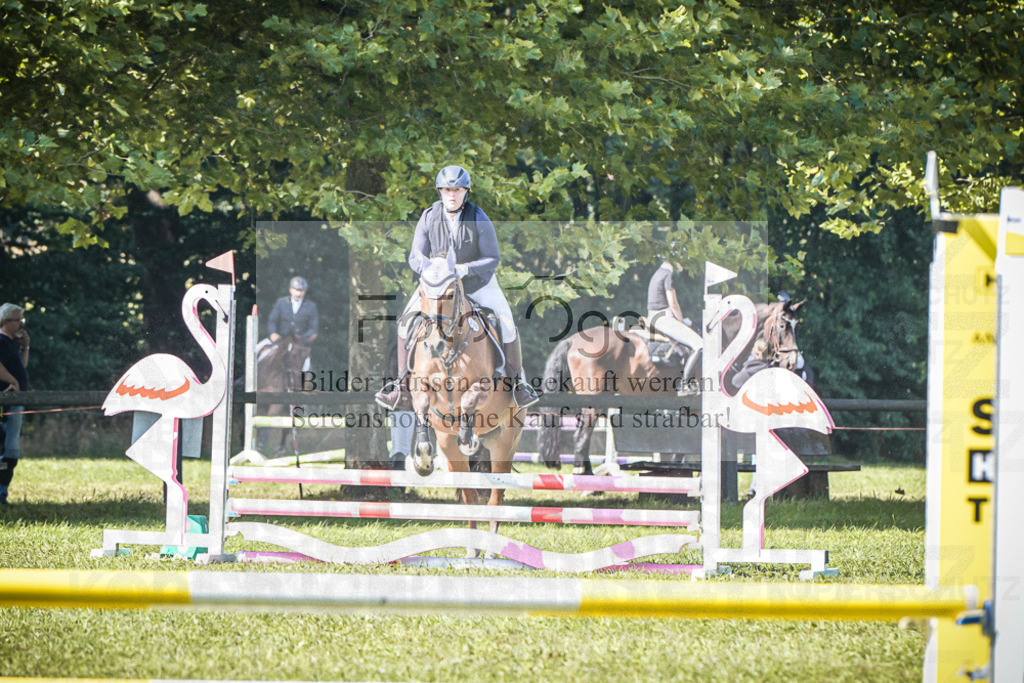 DOS_0154 | Entdecke hochwertige Reitturnierfotos von Foto Oger. Professionell, emotional und authentisch – jetzt Lieblingsmomente im Shop bestellen.Deutschlandweite Turnierfotografie. - Realisiert mit Pictrs.com