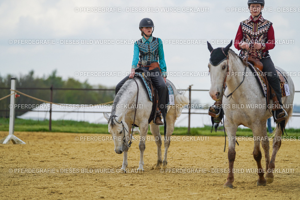 DSC06707 | Pferdegrafie