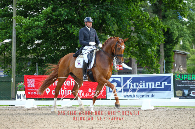 DKP41312 | Deine Turnierfotos vom Reitturnier online kaufen: Dressur, Springen & Siegerehrung. Professionelle Pferdefotografie aus dem Rheinland – als Download & Print.Alternative: Turnierfotograf für den Pferdesport: Finde deine Fotos von Dressur- und Springturnier