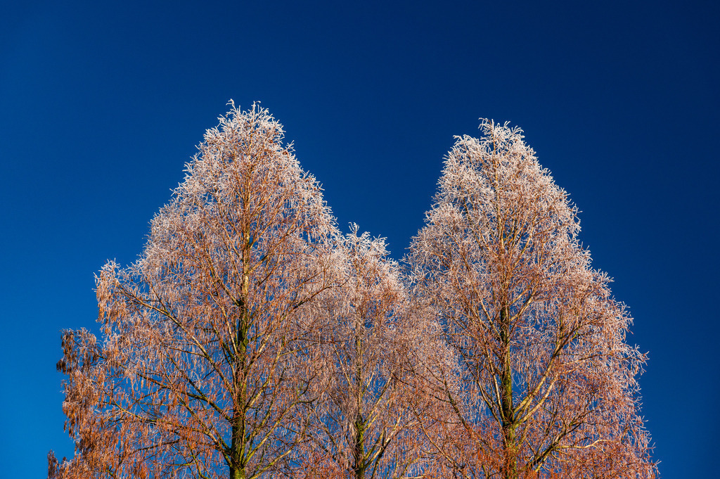 2025_01_19_HH-OEVELGOENNE_MCP4732 | Hochwertig gedruckte Fotografien für die Wand, als Kalender und zum Verschenken. Hamburg & Norddeutschland und überall wo ich mit der Kamera unterwegs war.