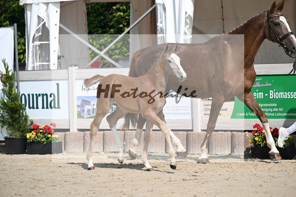 Agalord x C-Indoctro_SF_Diez_12250133 | hf-fotografie - Realisiert mit Pictrs.com