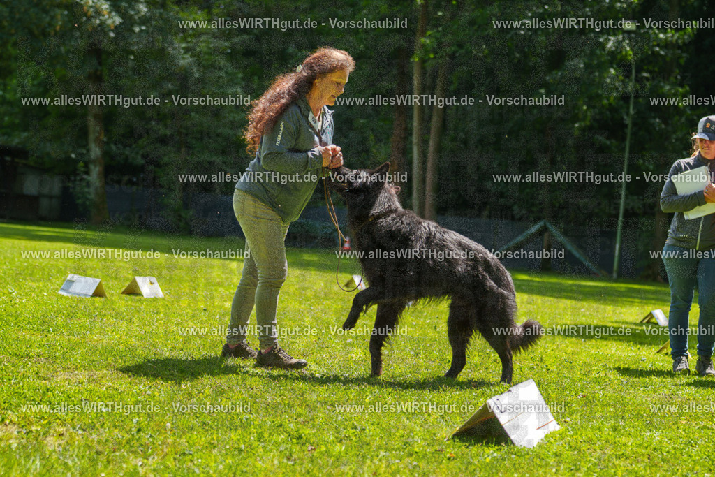 @allesWIRTHgut_Tierfotografie - www.allesWIRTHgut.de - 7R505706 | Professionelle Tierfotografie in Mönchengladbach von Daniel Wirth (allesWIRTHgut). Liebevolle & natürliche Bilder von Hunden & Katzen für unvergessliche Erinnerungen.