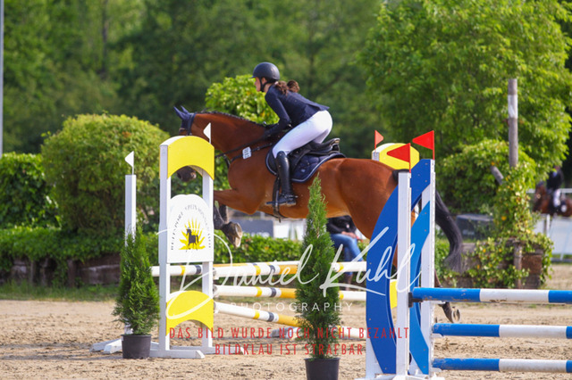 DKP41144 | Turniersportfotografie; Pferdefotografie; Dressurfotografie