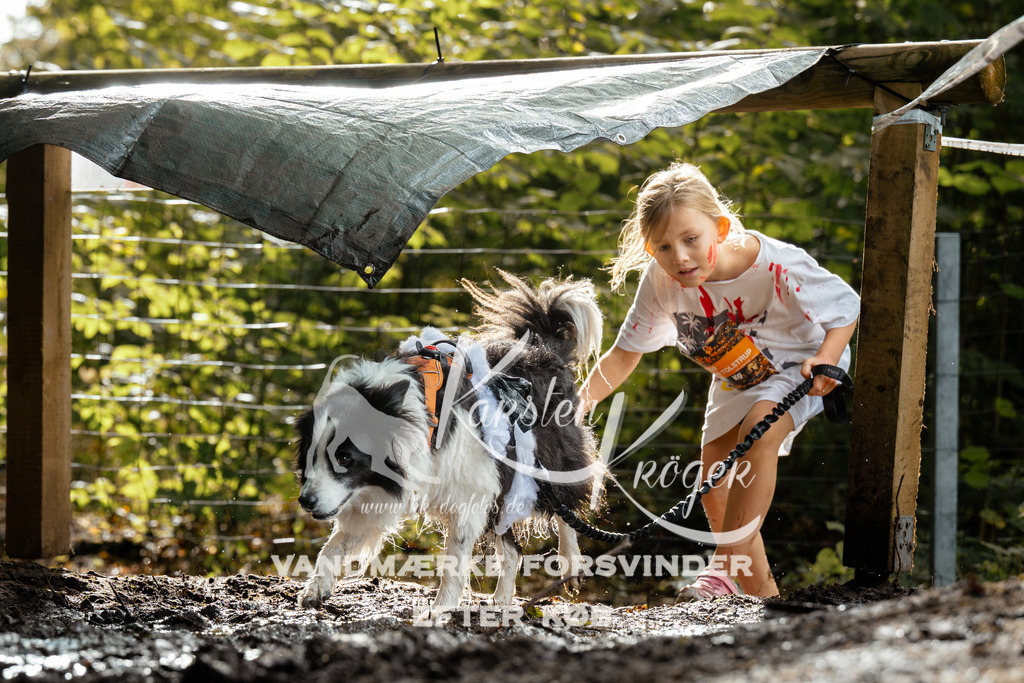 1459DZ6_4247Z6 | kk-dogfotos